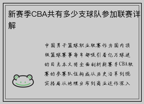 新赛季CBA共有多少支球队参加联赛详解